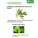 Kocostar Tea Tree Mask - Hydrating & Purifying Face Mask