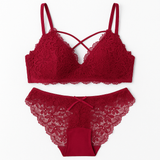 High Quality Sexy Plunge Bra Set - Maroon | Luxury Desires