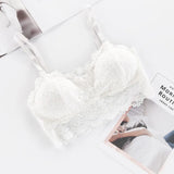 Luxury Desires Sexy Lace Sunflower White Bra – Free Sizes