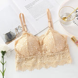 Luxury Desires Sexy Lace Sunflower Skin Bra – Free Sizes