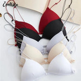 Triangle Cup Cotton Bra - Premium Comfort by Luxury Desires