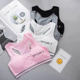 Pack of 3 Padded Cotton Sports Bras | Luxury Desires