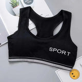 Pack of 3 Padded Cotton Sports Bras | Luxury Desires