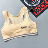 Pack of 3 Padded Cotton Sports Bras | Luxury Desires