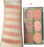 Miss Rose 6 Color Blush