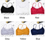 Pack of 3 Cotton Padded Backless Bras | Luxury Desires