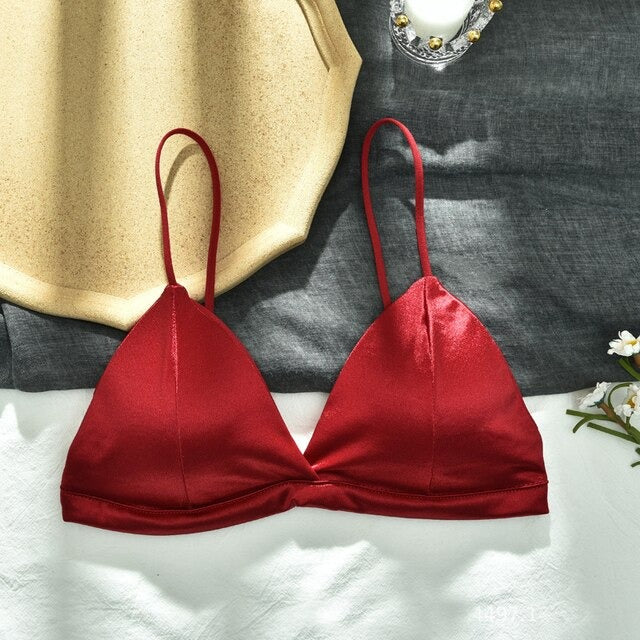Soft Silk Triangle Cup Light Padded T-Shirt Bra | Luxury Desires