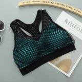 High Quality Mesh Net Design Sports Bra – Luxury Desires